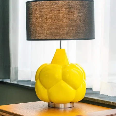 The Collector The Hague