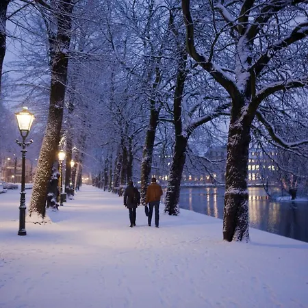 The Collector 헤이그