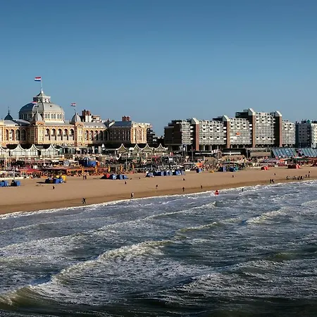 The Collector The Hague