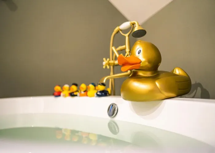 The Collector 호텔 4*