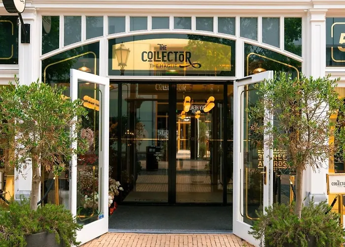 Hotel The Collector